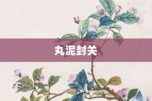 丸泥封关【丸泥封关的意思】- 成语大全