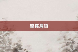 望其肩项【望其肩项的意思】- 成语大全