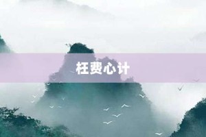 枉费心计【枉费心计的意思】- 成语大全