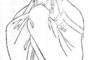 蔡顺【东汉人】 – 人物百科