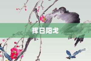 挥日阳戈【挥日阳戈的意思】- 成语大全