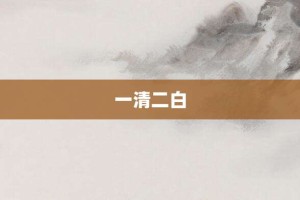 一清二白【一清二白的意思】- 成语大全