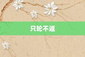 只轮不返【只轮不返的意思】- 成语大全