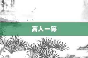 高人一筹【高人一筹的意思】- 成语大全