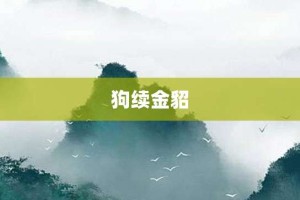 狗续金貂【狗续金貂的意思】- 成语大全