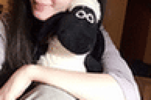 彭娜齐【中国内地女演员，北京龙采正和文化传媒有限公司签约艺人】 – 人物百科