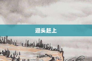 迎头赶上【迎头赶上的意思】- 成语大全