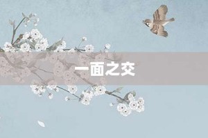 一面之交【一面之交的意思】- 成语大全