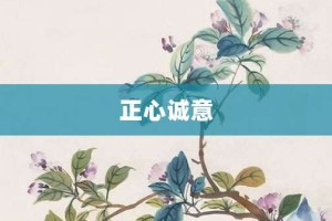 正心诚意【正心诚意的意思】- 成语大全