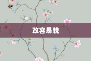 改容易貌【改容易貌的意思】- 成语大全