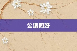 公诸同好【公诸同好的意思】- 成语大全