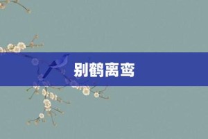 别鹤离鸾【别鹤离鸾的意思】- 成语大全