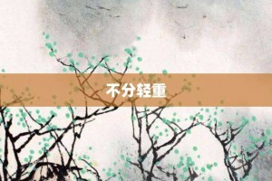 不分轻重【不分轻重的意思】- 成语大全