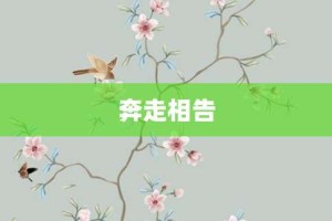 奔走相告【奔走相告的意思】- 成语大全
