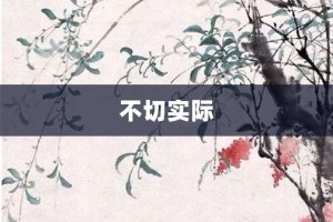 不切实际【不切实际的意思】- 成语大全