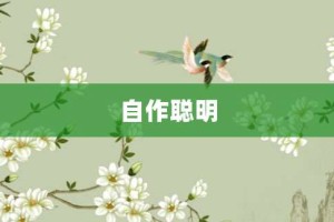 自作聪明【自作聪明的意思】- 成语大全