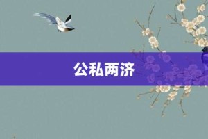公私两济【公私两济的意思】- 成语大全