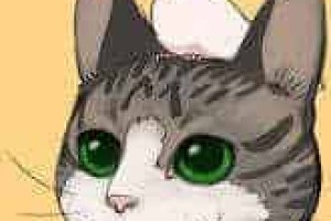 镰谷悠希【日本人气漫画家】 – 人物百科