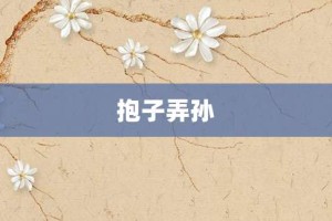 抱子弄孙【抱子弄孙的意思】- 成语大全