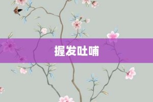 握发吐哺【握发吐哺的意思】- 成语大全