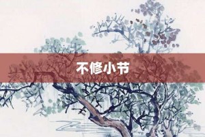 不修小节【不修小节的意思】- 成语大全