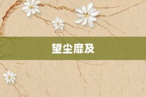 望尘靡及【望尘靡及的意思】- 成语大全