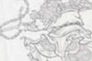 杜茂【东汉云台二十八将排第20位】 – 人物百科