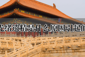 光绪遗精是什么原因引起的_帝王野史 菊江历史网