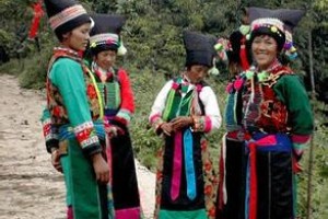 布朗族历史 布朗族语言文化简介_民俗文化 菊江历史网