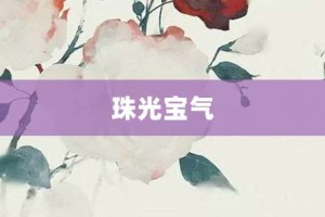 珠光宝气【珠光宝气的意思】- 成语大全