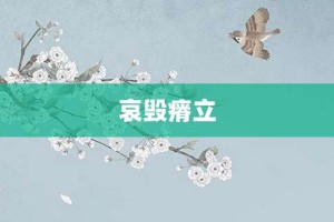 哀毁瘠立【哀毁瘠立的意思】- 成语大全