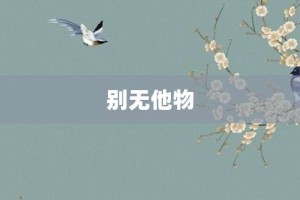别无他物【别无他物的意思】- 成语大全