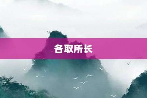 各取所长【各取所长的意思】- 成语大全