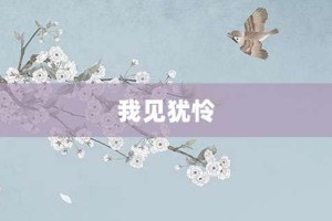 我见犹怜【我见犹怜的意思】- 成语大全