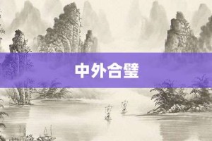 中外合璧【中外合璧的意思】- 成语大全