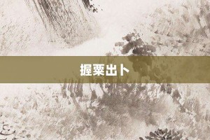 握粟出卜【握粟出卜的意思】- 成语大全