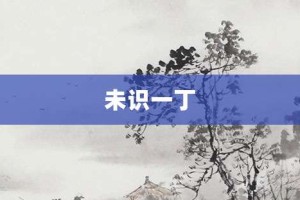 未识一丁【未识一丁的意思】- 成语大全