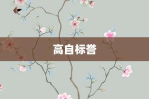 高自标誉【高自标誉的意思】- 成语大全