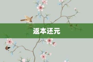 返本还元【返本还元的意思】- 成语大全