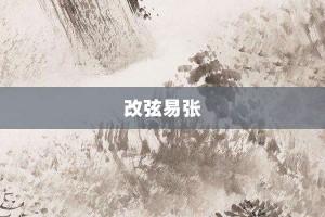 改弦易张【改弦易张的意思】- 成语大全