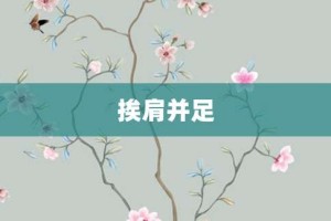 挨肩并足【挨肩并足的意思】- 成语大全