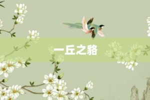 一丘之貉【一丘之貉的意思】- 成语大全