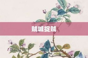 贼喊捉贼【贼喊捉贼的意思】- 成语大全
