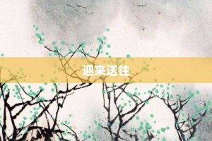 迎来送往【迎来送往的意思】- 成语大全