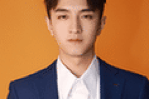 金瀚【中国内地男演员、歌手】 – 人物百科