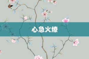 心急火燎【心急火燎的意思】- 成语大全