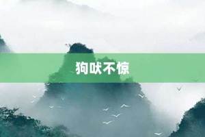 狗吠不惊【狗吠不惊的意思】- 成语大全