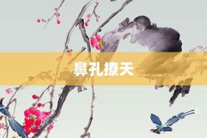 鼻孔撩天【鼻孔撩天的意思】- 成语大全