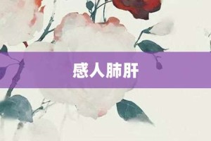 感人肺肝【感人肺肝的意思】- 成语大全
