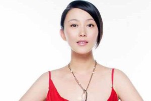 丁柳元【中国内地女演员，导演】 – 人物百科